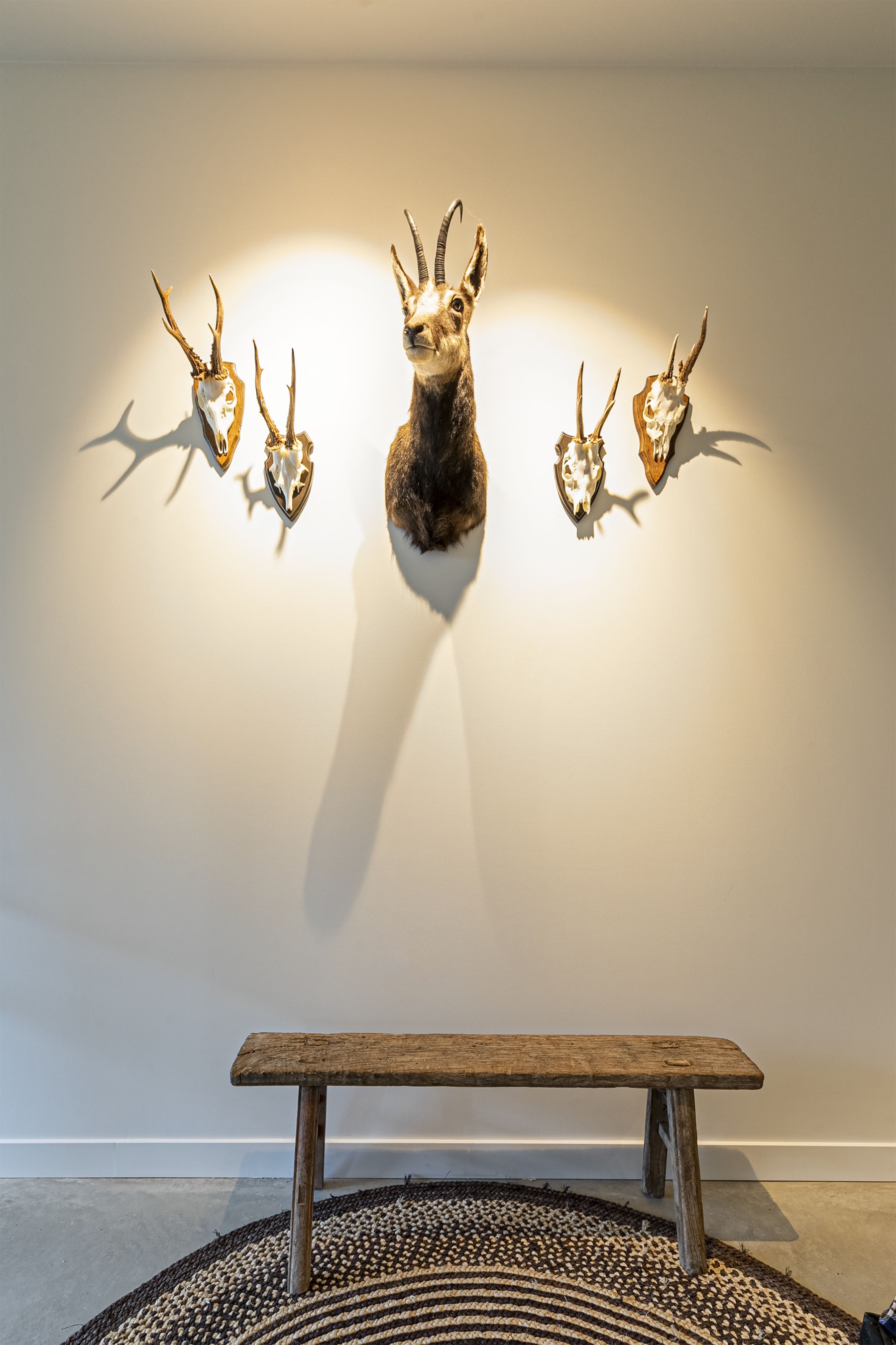 Loft Geel